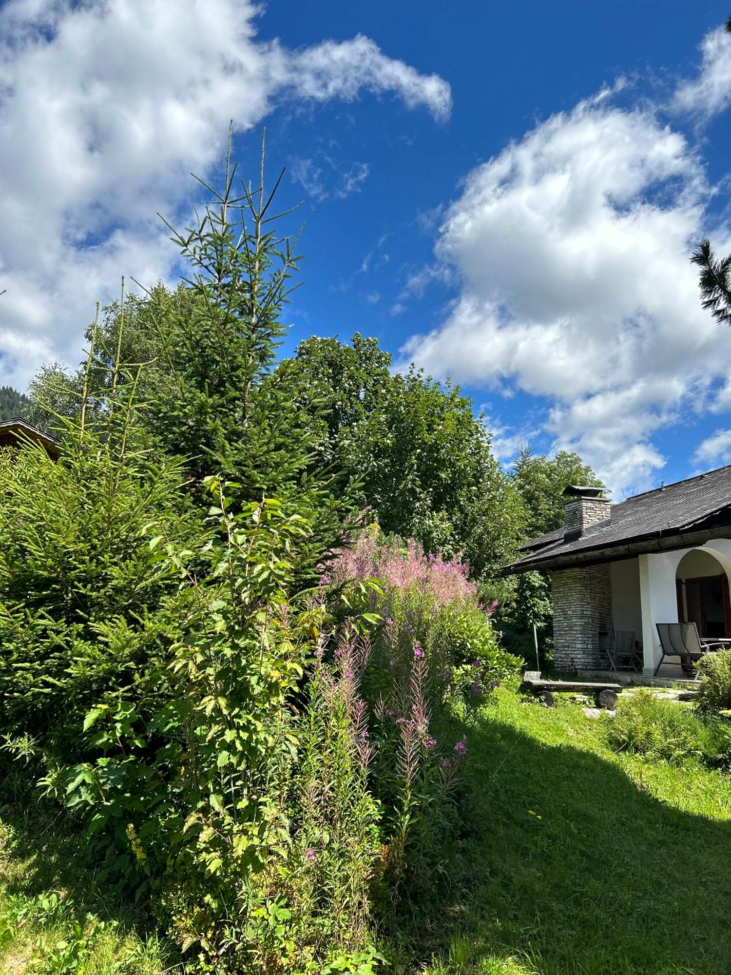 Haus Grimmingblick Villa Zlem Exterior photo